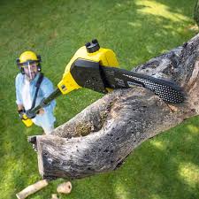 Best Tree Mulching  in Tichigan, WI